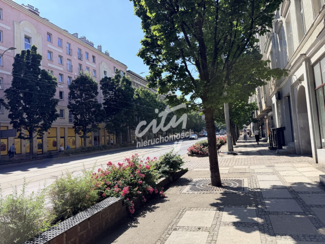 Lokal Sprzedaż Szczecin Centrum 8